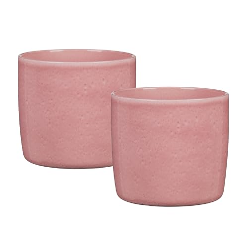 Scheurich Solido, Blumentopf 2er Set aus Keramik, Farbe: Rosea, 15 cm Durchmesser, 13,7 cm hoch, 1,9 l Vol. Scheurich Solido, Blumentopf 2er Set aus Keramik, Farbe: Rosea, 15 cm Durchmesser, 13,7 cm hoch, 1,9 l Vol. von Scheurich