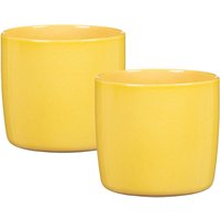 Solido, Blumentopf 2er Set aus Keramik, Farbe: Solare, 15 cm Durchmesser, 13,7 cm hoch, 1,9 l Vol. - Scheurich Solido, Blumentopf 2er Set aus Keramik, Farbe: Solare, 15 cm Durchmesser, 13,7 cm hoch, 1,9 l Vol. - Scheurich von Scheurich