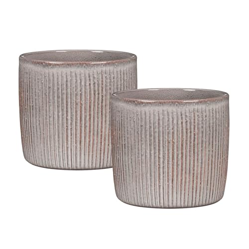 Scheurich Solido Linea, Blumentopf 2er Set aus Keramik, Farbe: Seashell, 15 cm Durchmesser, 13,7 cm hoch, 1,9 l Vol. Scheurich Solido Linea, Blumentopf 2er Set aus Keramik, Farbe: Seashell, 15 cm Durchmesser, 13,7 cm hoch, 1,9 l Vol. von Scheurich