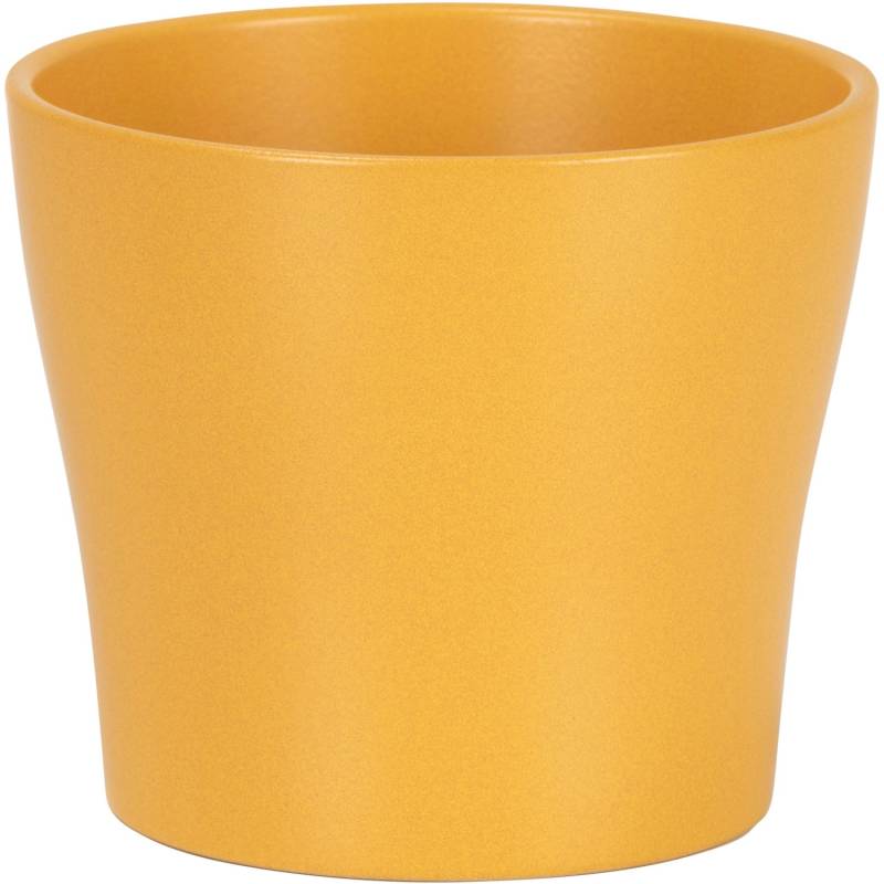 Scheurich Übertopf 808 Ø 13 cm x 11 cm Curcuma von Scheurich