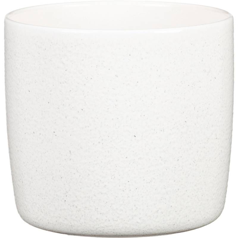 Scheurich Übertopf 900 Solido Ø 13 cm x 12 cm Perla von Scheurich