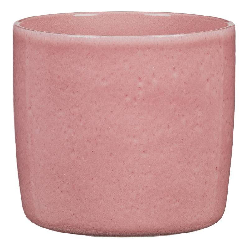 Scheurich Übertopf 'Rosea' rosa Ø 15 x 14 cm Scheurich Übertopf 'Rosea' rosa Ø 15 x 14 cm von Scheurich