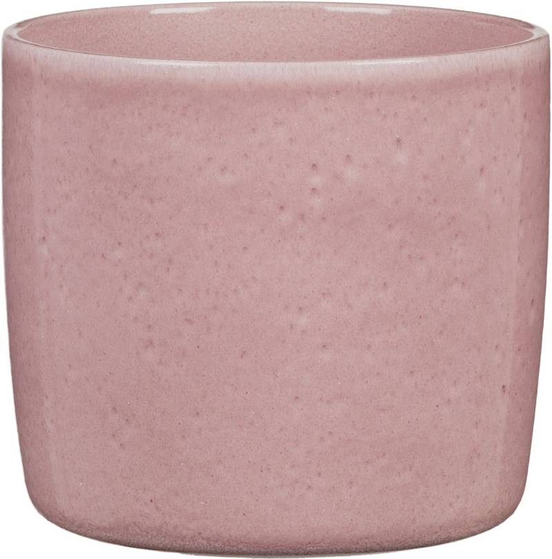 Scheurich Übertopf Solid Ø 17,6 x 16 cm rosea von Scheurich