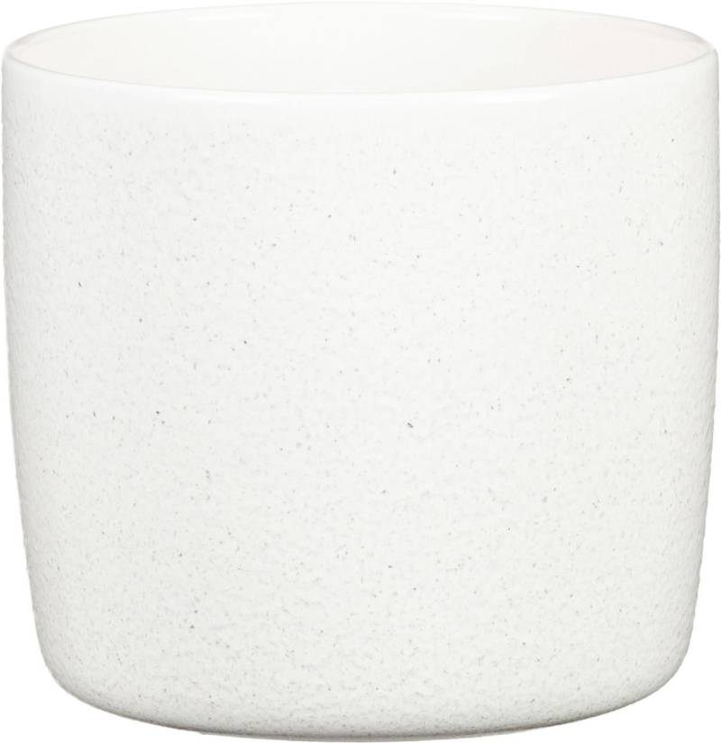 Scheurich Übertopf Solid Ø 24,1 x 21,9 cm perla weiß von Scheurich