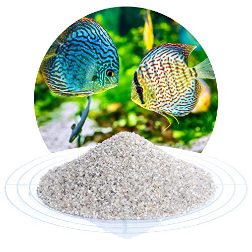 Schicker Mineral Aquariumkies Natur 25 kg, feiner Aquariumsand gewaschen, ungefärbt, kantengerundeter Bodengrund, Kies für Süßwasseraquarien, Meerwasseraquarien, Aquascaping (1,0-2,0 mm) von Schicker Mineral