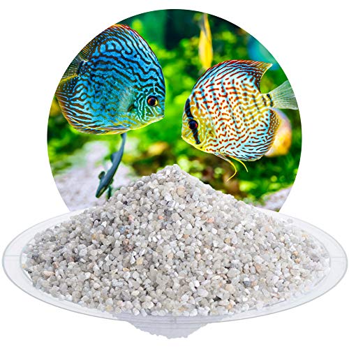 Schicker Mineral Aquariumkies Natur 25 kg, feiner Aquariumsand gewaschen, ungefärbt, kantengerundeter Bodengrund, Kies für Süßwasseraquarien, Meerwasseraquarien, Aquascaping (2,0-3,15 mm) von Schicker Mineral