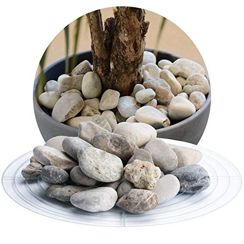 Schicker Mineral Isarkies Zierkies bunt 16-32 mm 25 kg, natürlich gerundeter Flusskies, witterungsbeständig, Gartengestaltung von Schicker Mineral