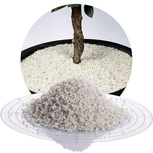 Schicker Mineral Marmor Ziersplitt weiß 25 kg, farbechter Naturstein, witterungsbeständig, ideal zur Gartengestaltung (Marmor Splitt, 1-3 mm) von Schicker Mineral