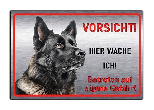 Schild Hund, Hundeschild, Warnung, Hier wache ich - Betreten auf eigene Gefahr! Achtung - Warnschild Edelstahl Optik - Warnung vor dem Hund - Deutsche Schäferhund M5 (Aluverbund Silber, 30x20 cm) von SchilderBahn