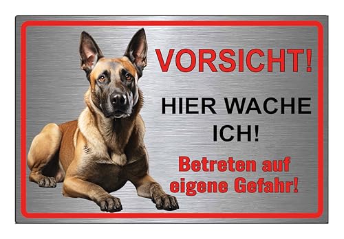 Schild Hund - Hundeschild Malinois - Hier wache ich - Betreten auf eigene Gefahr! Achtung - Warnschild Silber gebürstet - Warnung vor dem Hund - Belgischer Schäferhund M1 (30 x 20 cm) von SchilderBahn