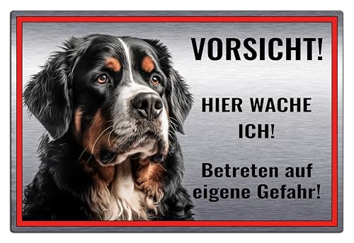 Schild Hundeschild Vorsicht Hier wache ich - Betreten auf eigene Gefahr! Achtung - Warnschild Silber gebürstet - Warnung vor dem Hund - Berner Sennenhund M3 (Silber gebürstet, 22,5x15 cm) von SchilderBahn