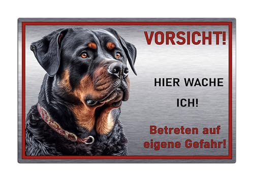 Schild Hundeschild Vorsicht Hier wache ich - Betreten auf eigene Gefahr! Achtung - Warnschild Silber gebürstet - Warnung vor dem Hund - Rottweiler M1 (Silber, 30x20 cm) von SchilderBahn
