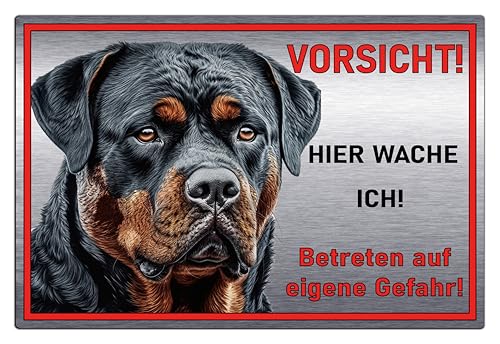 Schild Hundeschild Vorsicht Hier wache ich - Betreten auf eigene Gefahr! Achtung - Warnschild Silber gebürstet - Warnung vor dem Hund - Rottweiler M2 (Silber, 30x20 cm) von SchilderBahn