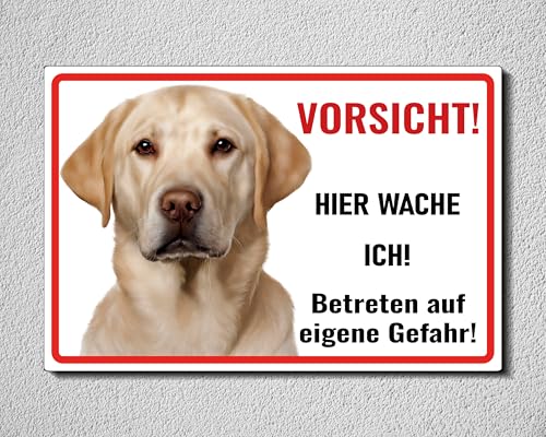 Schild Labrador Retriever Vorsicht Hier wache ich - Betreten auf eigene Gefahr! - Achtung - Hundeschild Warnschild- - Warnung vor dem Hund - M5 (Aluverbund weiß, 22.5x15 cm) von SchilderBahn
