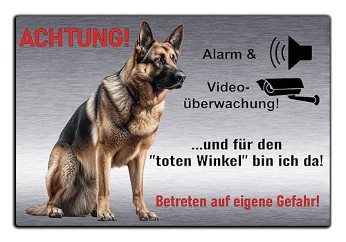 Schild Videoüberwachung und Hund, Hundeschild, Warnung, Achtung - Edelstahl Optik Silber gebürstet - Warnung vor dem Hund - Deutsche Schäferhund TW1 (Silber gebürstet, 30x20 cm) von SchilderBahn