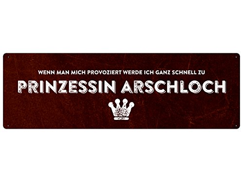 Prinzessin ARSCHLOCH Spruchschild Dekoschild Geschenk Freundin Prinzessin ARSCHLOCH Spruchschild Dekoschild Geschenk Freundin von Schilderkönig