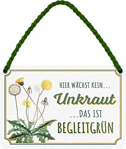 schilderkreis24 – Lustiger Spruch “Hier wächst kein Unkraut Das ist Begleitgrün” Deko Schild für Garten oder Terrasse Geschenkidee für Gärtner 18x12 cm von schilderkreis24
