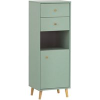 SCHILDMEYER Highboard »Bjarne«, BxHxL: 33 x 113,4 x 40,3 cm, pistaziengrün, Holzwerkstoff melaminbeschichtet - gruen von Schildmeyer