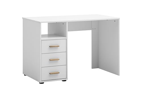 Schildmeyer Schreibtisch mit Stauraum Torge 702050, mattweiß, 109 x 58 x 74 cm Schildmeyer Schreibtisch mit Stauraum Torge 702050, mattweiß, 109 x 58 x 74 cm von Schildmeyer