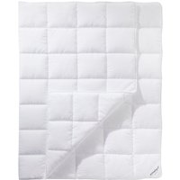 Schlafgut Microfaserbettdecke "Pure" normal 1 Stk. tlg. Bettdecke in 135x200 cm und weiteren Größen, für Sommer oder Winter von Schlafgut