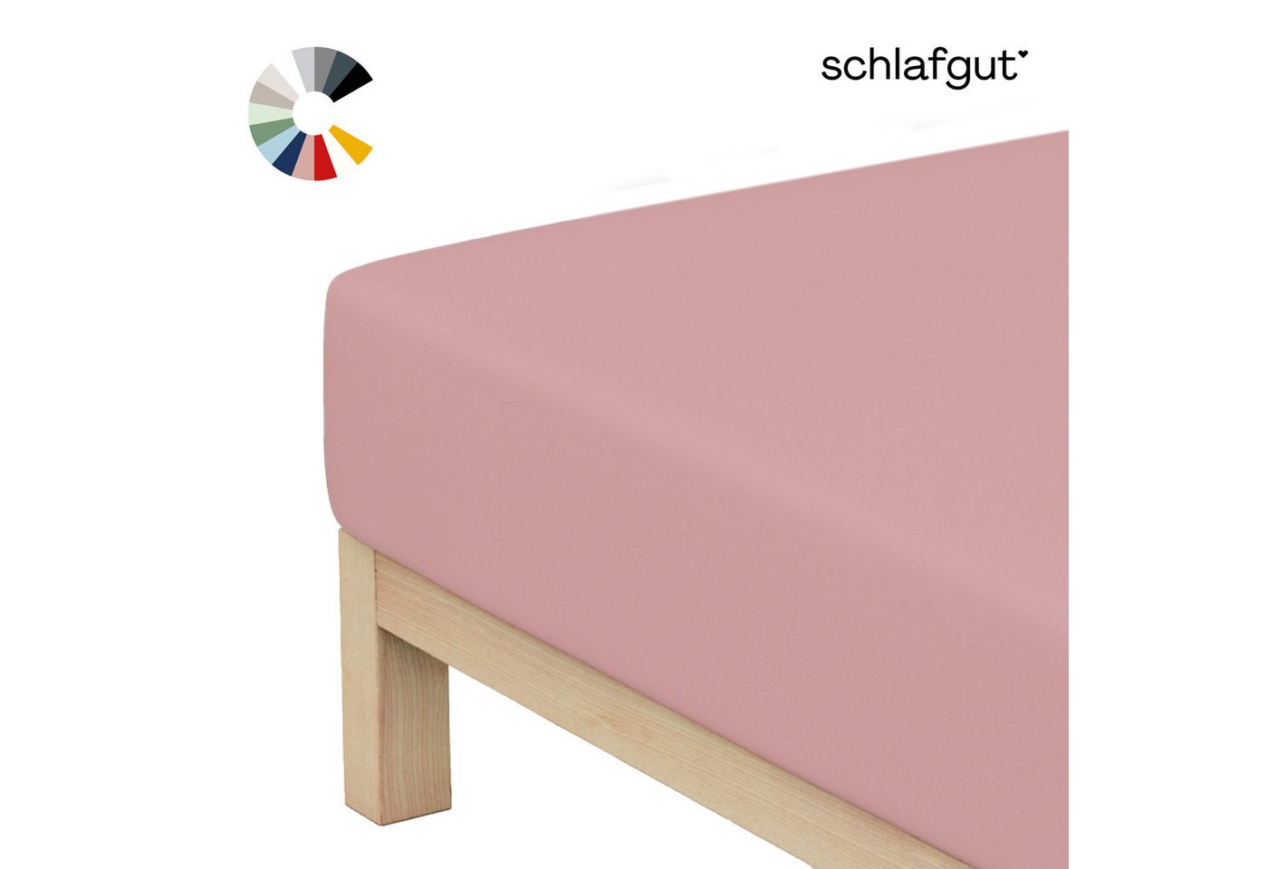 Schlafgut Spannbettlaken Basic Cotton Spannbettlaken, Jersey, Gummizug: rundum, (1 Stück), Preiseinstiegsmodell von Schlafgut