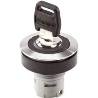 Schlegel RRJVASSA12 RONTRON R JUWEL RRJVASSA12 Schlüsselschalter Edelstahl 2 x 90° 10St. von Schlegel