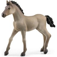 Schleich® Horse Club 13949 Criollo Definitivo Fohlen Spielfigur von Schleich®