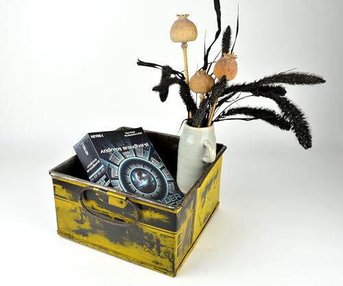 Aufbewahrungsbox aus Metall im Vintage Shabby Stil mit Metallgriffen. Unikat - Handarbeit Metall-Kiste - 73 von Schmiedegarten