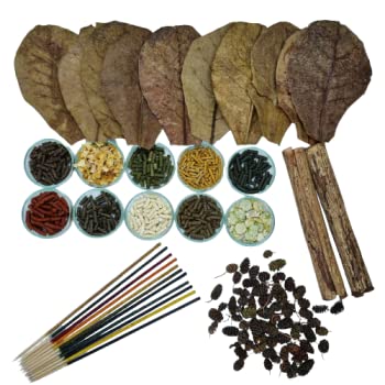 Schmitt Aquaristik Futter-Set für Garnelen und Krebse / Lollies Seemandelbaumblätter Seemandelbaumröhren Erlenzapfen Schmitt Aquaristik Futter-Set für Garnelen und Krebse / Lollies Seemandelbaumblätter Seemandelbaumröhren Erlenzapfen von Schmitt Aquaristik