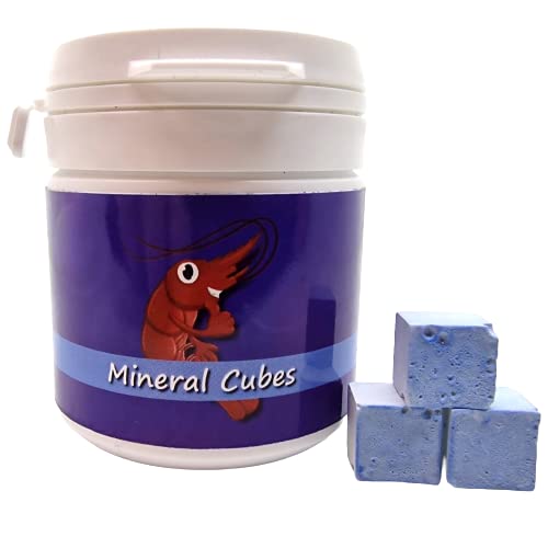 Mineral Cubes Blue Dream / 30 Stück/Garnelen Seemandelbaum Aufbereiter Schnecken Mineral Cubes Blue Dream / 30 Stück/Garnelen Seemandelbaum Aufbereiter Schnecken von Schmitt Aquaristik