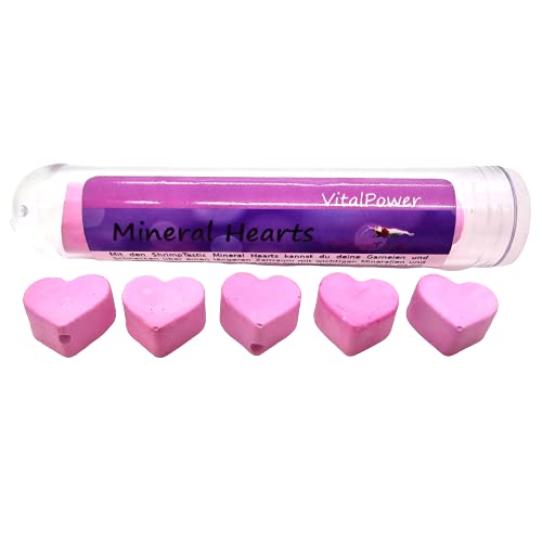 Mineral Hearts Vital Power / 10 Stück/Garnelen Mineralien Aufbereiter Schnecken Futter Mineral Hearts Vital Power / 10 Stück/Garnelen Mineralien Aufbereiter Schnecken Futter von Schmitt Aquaristik