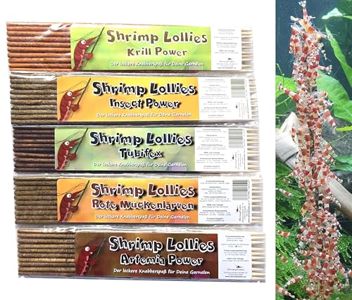 Shrimp Lollies Proteine Set 5er / Futter Garnelen Lollies Lutscher Sticks Stangen Shrimp Lollies Proteine Set 5er / Futter Garnelen Lollies Lutscher Sticks Stangen von Schmitt Aquaristik