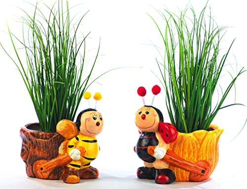 Schneemann-Versand Pflanztopf Set Gartenfigur Käfer & Biene Dekofiguren Pflanzschale Blumentopf von Schneemann-Versand