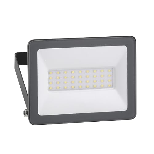 LED Strahler Mureva 20W,2000LM,4000K Kaltweiß Flulicht,IP65 Wasserdicht IK05,Sicherheitsbeleuchtung,einsetzbar Innen-und Außenbereich, Stromsparend, Dunkelgrau von Schneider Electric