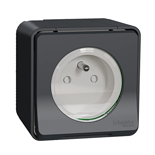 SCHNEIDER - Prise courant 2P+T - saillie - IP55 - IK08 - connexion auto - gris Mureva Styl - MUR35031 von Schneider Electric