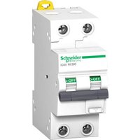 Schneider Electric A9D17216 FI-Schutzschalter/Leitungsschutzschalter 16A 0.03A 240V von Schneider Electric