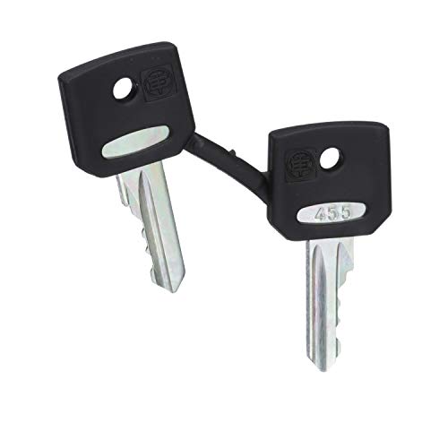 Schneider Electric Ersatzschlüssel für Schlüsselschalter ZBG455 | Verpackungseinheit: 2 Stück | PCE | Green Premium Produkt von Schneider Electric