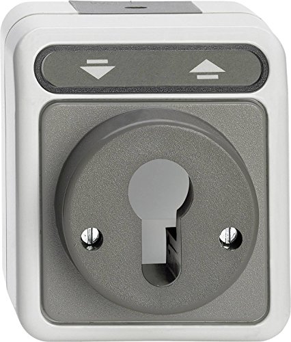 Schneider Electric Merten MEG3717-8029 Aufputz Rollladen-Tast-Rastschalter für Schließzylinder 1-Fach, Feuchtraum Schalterpogramm, IP44,lichtgrau, AQUASTAR von Schneider Electric