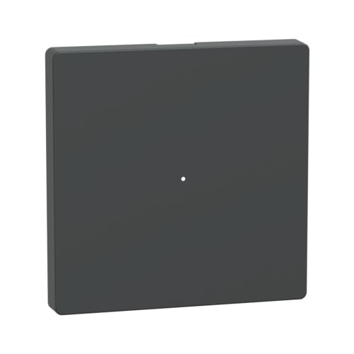 Schneider Electric Merten MEG5210-6034 Wippe für Taster-Modul 1fach Unterputz, Anthrazit, System Design, Made in Germany von Schneider Electric