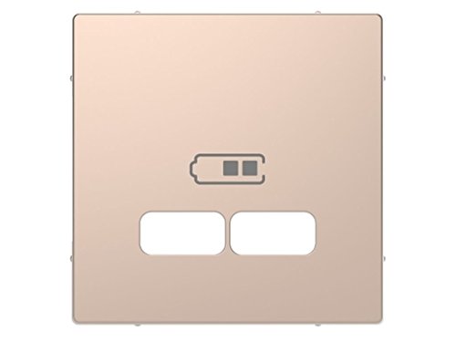 Schneider Electric mtn4367 – 6051 Antennen-USB-Ladegerät 2.100 mA der Serie d-life, Champagne Schneider Electric mtn4367 – 6051 Antennen-USB-Ladegerät 2.100 mA der Serie d-life, Champagne von Schneider Electric