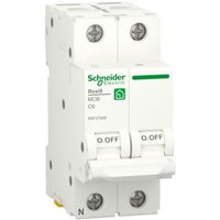 Schneider - Leitungsschutzschalter 6A 1P+N 4,5KA c 2 Module R9F37606 Schneider - Leitungsschutzschalter 6A 1P+N 4,5KA c 2 Module R9F37606 von Schneider