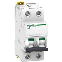 Schneider Electric - Leitungsschutzschalter IC60N 2P 2A Kurve c von Schneider Electric