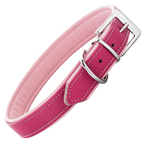 Schnüffelfreunde Lederhalsband Hund - Fun Line (XXL - 55-65cm, Pink-Rosa) von Schnüffelfreunde