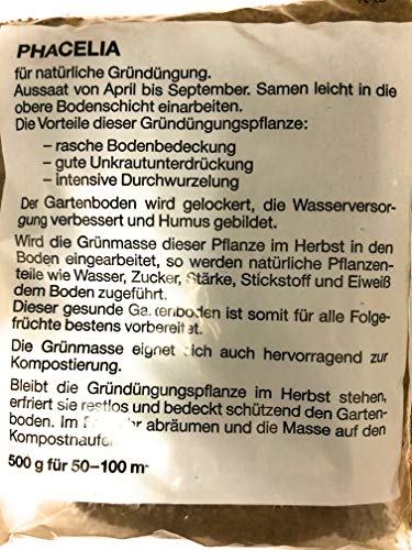 Phacelia Gründünger für alle Gartenböden 500g von Schock