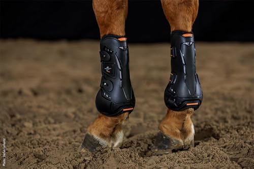 Schockemöhle Sports Gamaschen Air Flow Champion Tendon Boots, 1 Paar Größe Vollblut Schockemöhle Sports Gamaschen Air Flow Champion Tendon Boots, 1 Paar Größe Vollblut von Schockemöhle