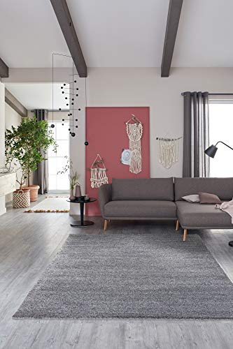 Schöner Wohnen Kollektion Pflegeleichter Wohnzimmer Teppich Pure — Antistatischer Flur Kurzflor — (160x230cm, Silber) von Schöner Wohnen Kollektion