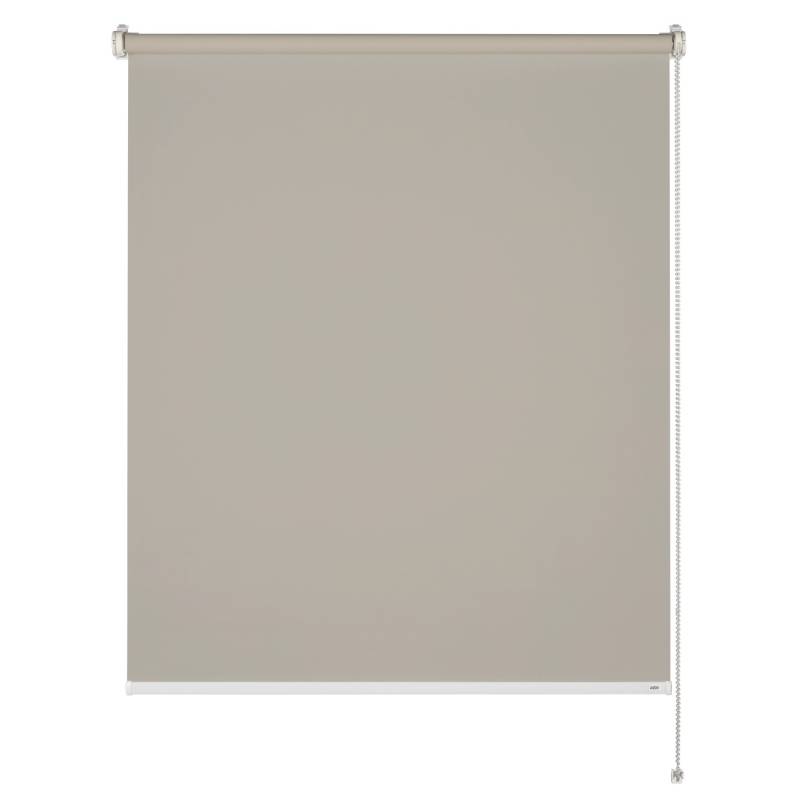 Schöner Wohnen Tageslicht-Rollo Tizia 80 cm x 210 cm Beige von Schöner Wohnen Kollektion
