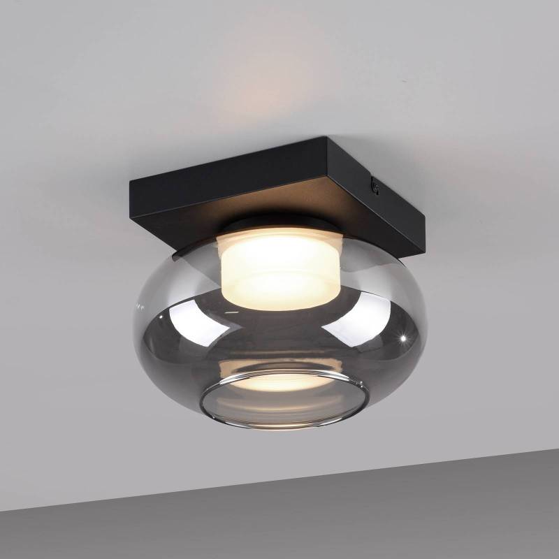 SCHÖNER WOHNEN LED-Deckenleuchte Sia, rauchgrau 3.000 K SCHÖNER WOHNEN LED-Deckenleuchte Sia, rauchgrau 3.000 K von Schöner Wohnen