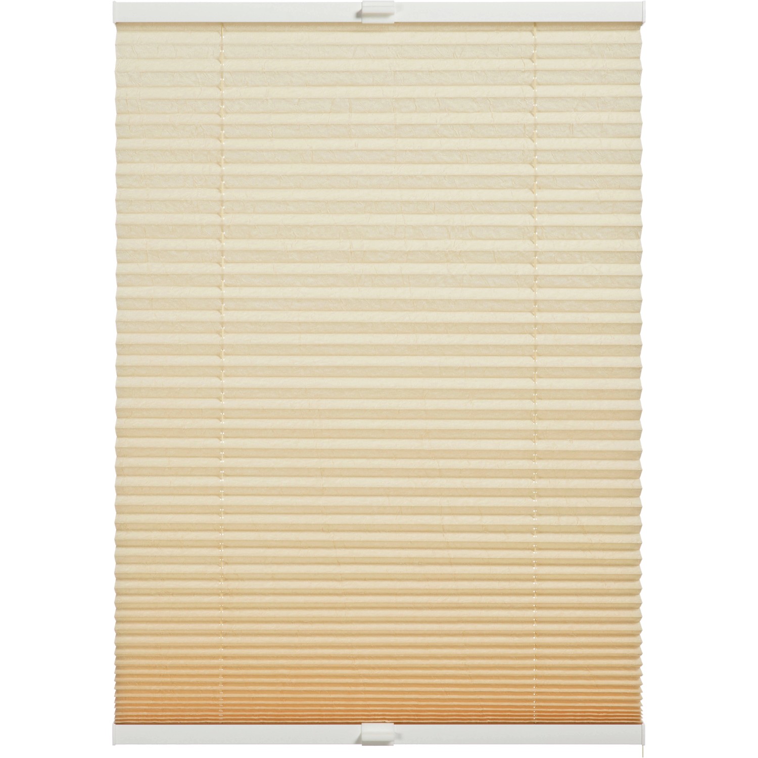 Schöner Wohnen Plissee Milla 100 cm x 130 cm Beige von Schöner Wohnen Kollektion