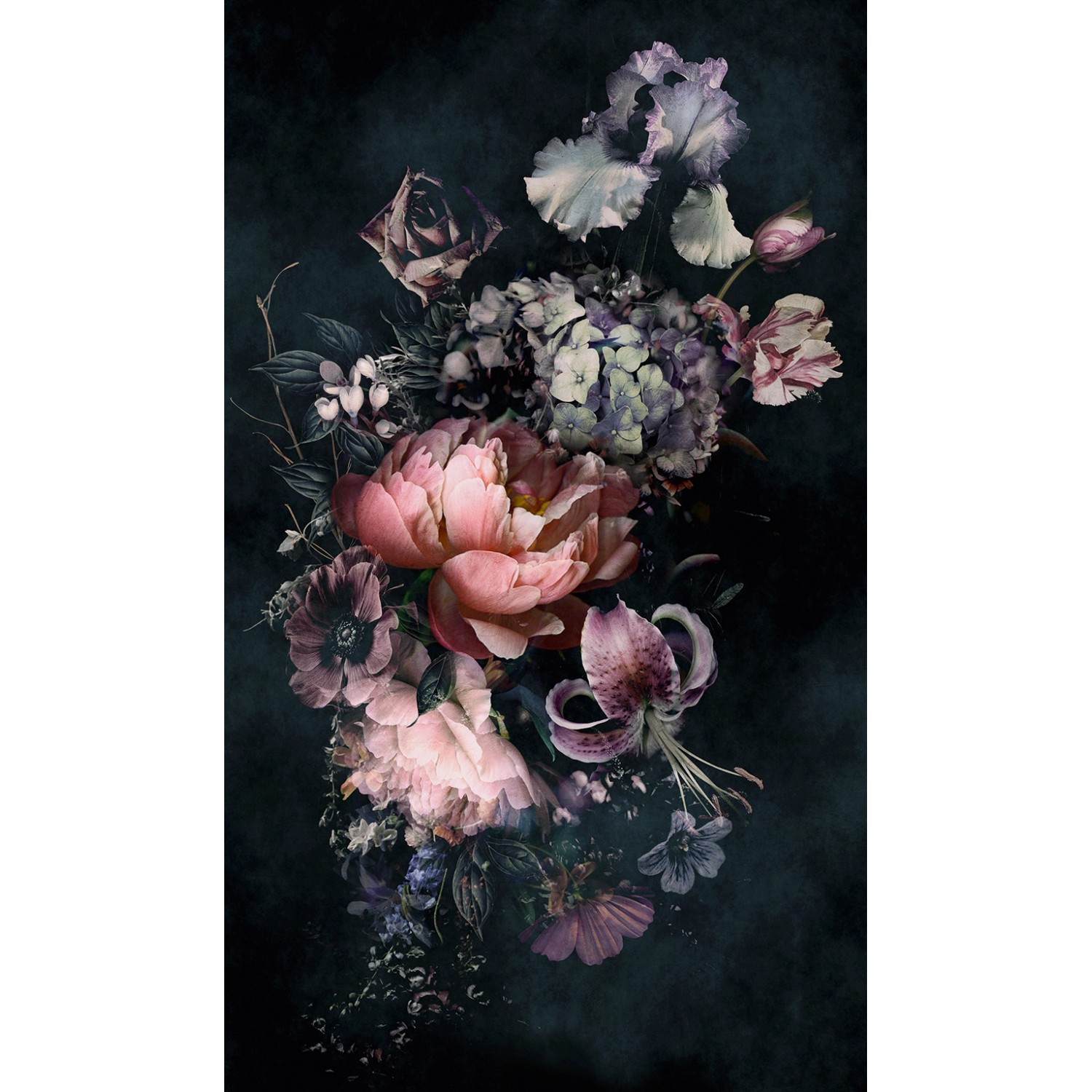 Schöner Wohnen Vliestapete 2 DD Floral Schwarz Rosa 270 x 159 cm FSC® von Schöner Wohnen Kollektion